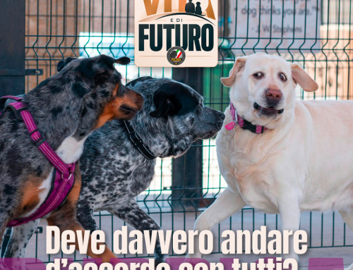 Deve davvero andare d’accordo con tutti?