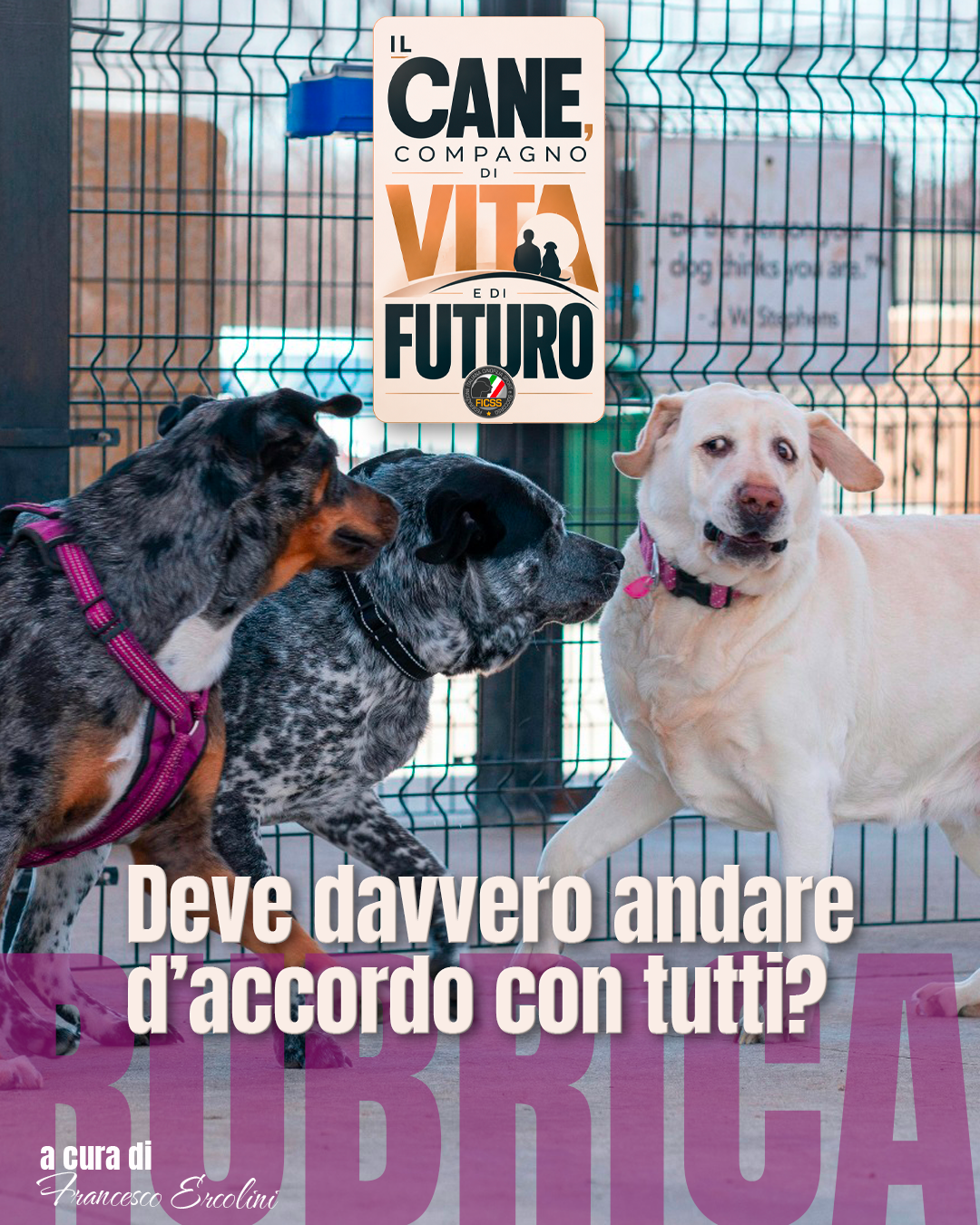 articolo_1_post social