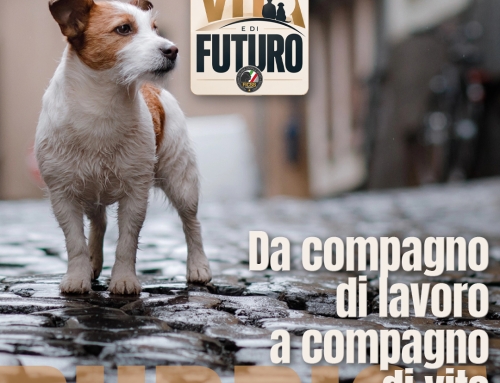 Da compagno di lavoro a compagno di vita
