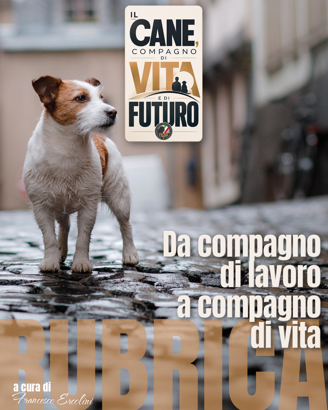 articolo_2_post